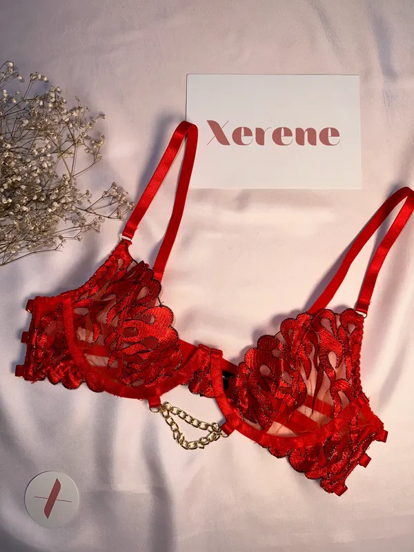 Fiery_Desire_Lingerie_Set
