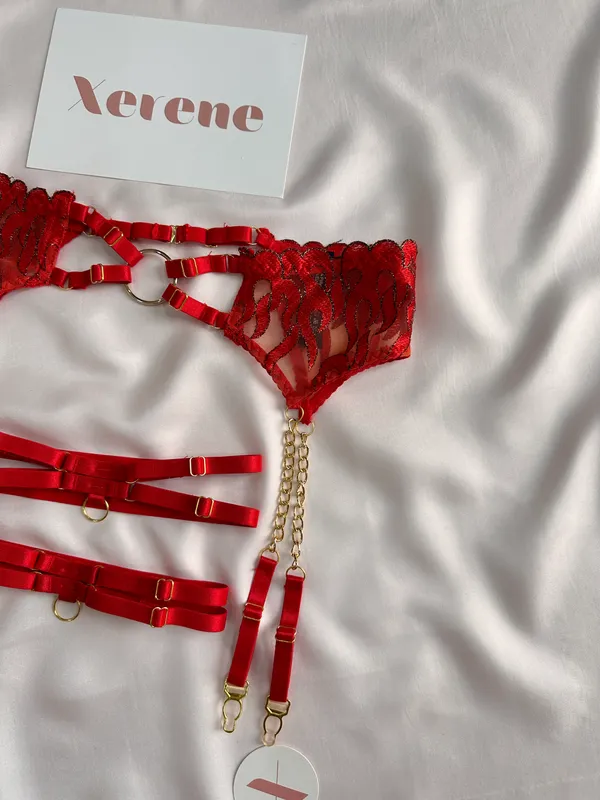 Fiery_Desire_Lingerie_Set