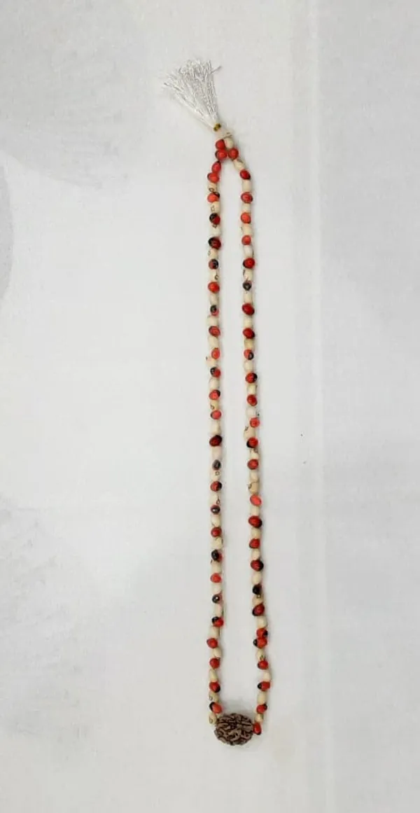 Laabh_Prapti_Multicolour_Premium_Quality_LaalSafed_Gunja_Rudraksh_Necklace