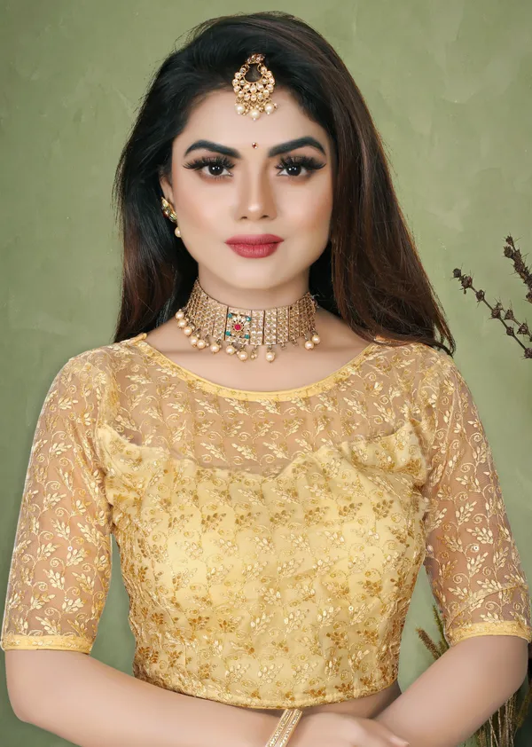 Baby_Pink_And_Beige_Net_Embroidered_Round_Neck_Padded_Blouse_For_Women(Pack_Of_2)