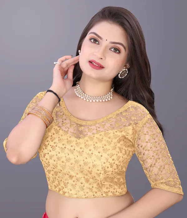 Beige_Net_Embriodered_Round_Neck_Padded_Blouse_For_Women