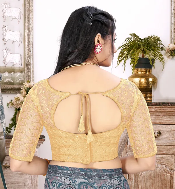 Beige_Net_Embriodered_Round_Neck_Padded_Blouse_For_Women