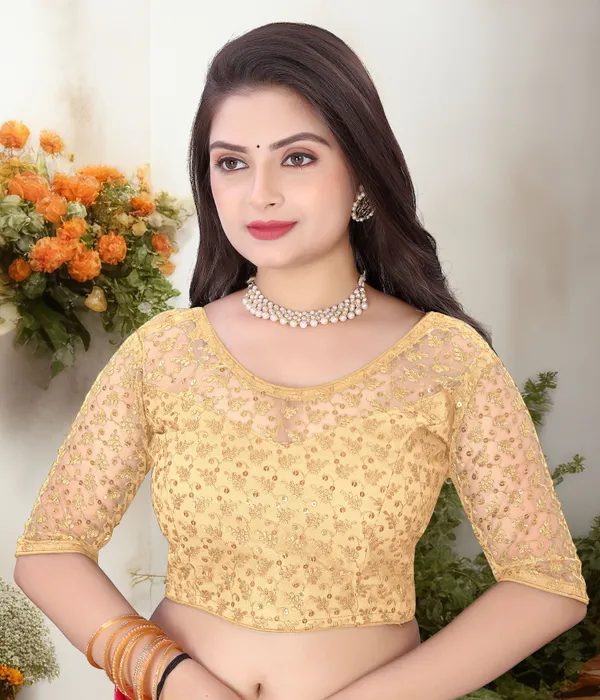 Beige_Net_Self_Design_Round_Neck_Padded_Blouse_For_Women