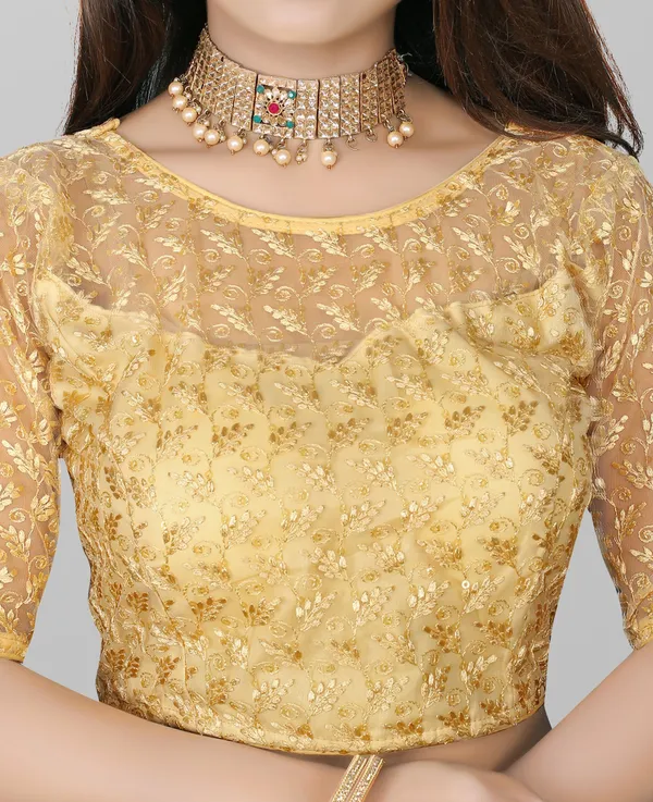 Beige_Net_Embriodered_Round_Neck_Padded_Blouse_For_Women