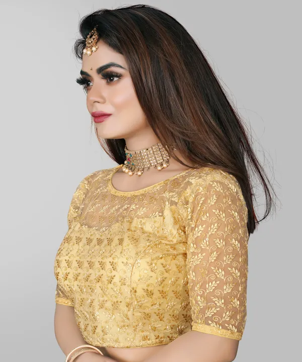 Beige_Net_Embriodered_Round_Neck_Padded_Blouse_For_Women