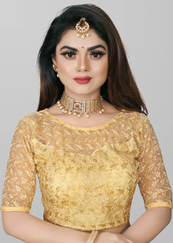 Beige_Net_Embriodered_Round_Neck_Padded_Blouse_For_Women