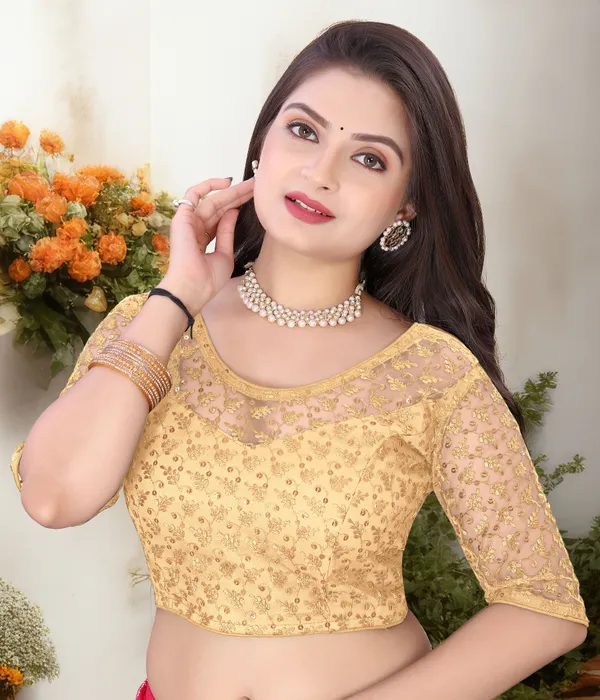 Beige_Net_Embriodered_U-Neck_Padded_Blouse_For_Women
