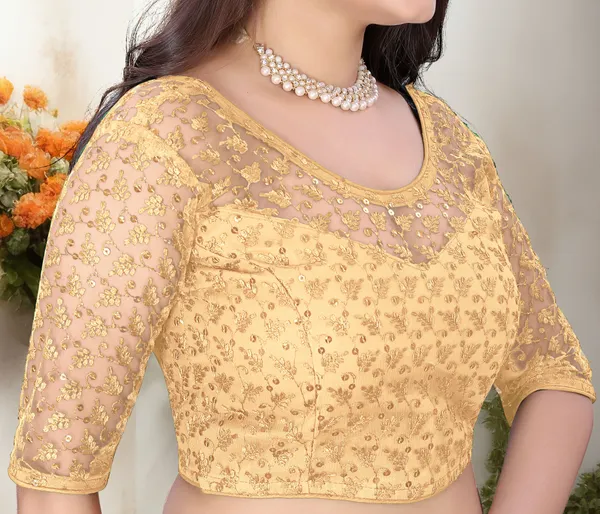 Beige_Net_Embriodered_Round_Neck_Padded_Blouse_For_Women