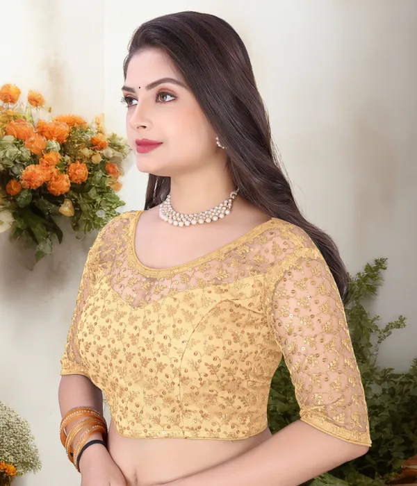 Beige_Net_Embriodered_Round_Neck_Padded_Blouse_For_Women