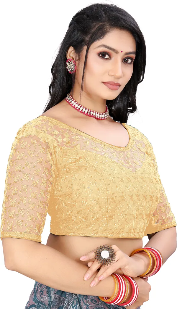 Beige_Net_Embriodered_Round_Neck_Padded_Blouse_For_Women