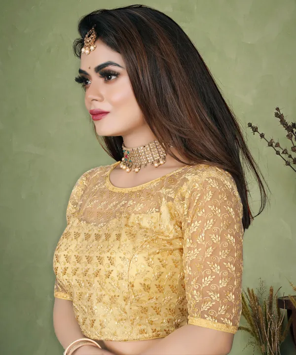Beige_Net_Embriodered_Round_Neck_Padded_Blouse_For_Women