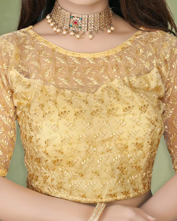 Beige_Net_Embriodered_Round_Neck_Padded_Blouse_For_Women