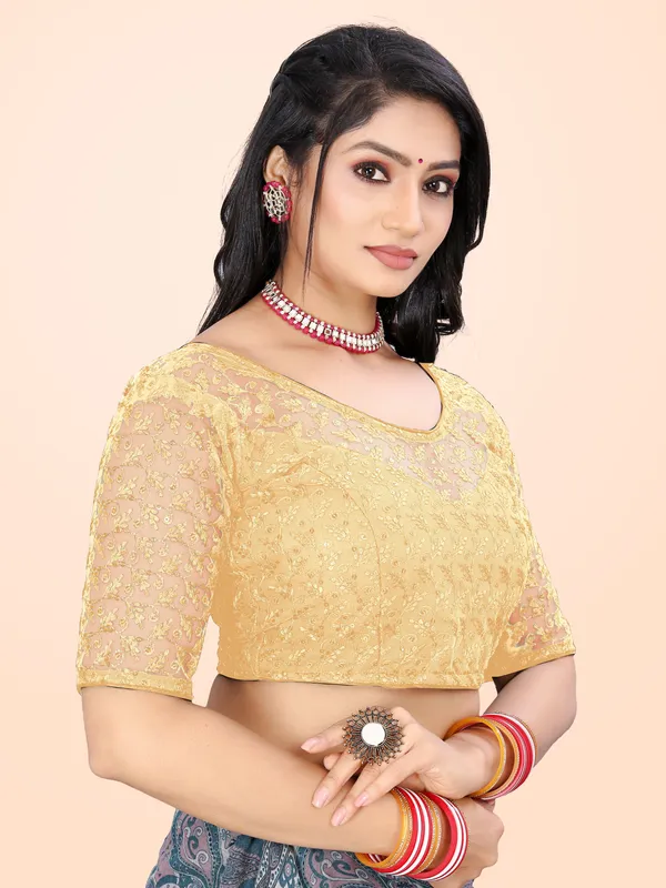 Beige_Net_Embriodered_Round_Neck_Padded_Blouse_For_Women