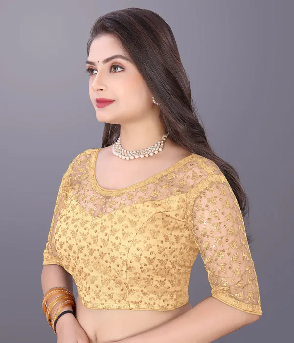 Beige_Net_Embriodered_Round_Neck_Padded_Blouse_For_Women
