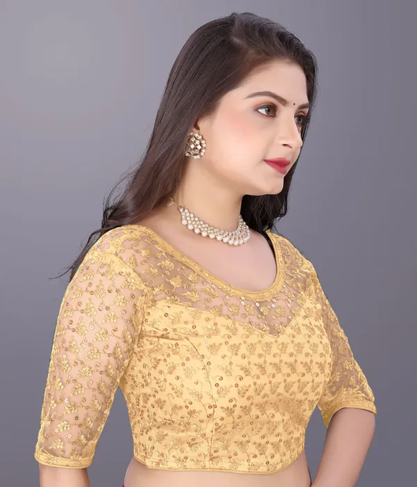 Beige_Net_Embriodered_Round_Neck_Padded_Blouse_For_Women