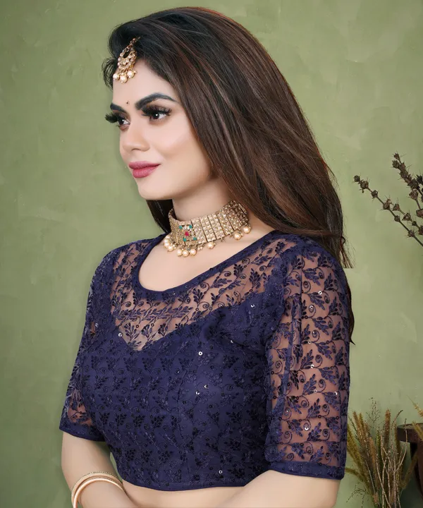 Dark_Blue_Net_Embriodered_Round_Neck_Padded_Blouse_For_Women