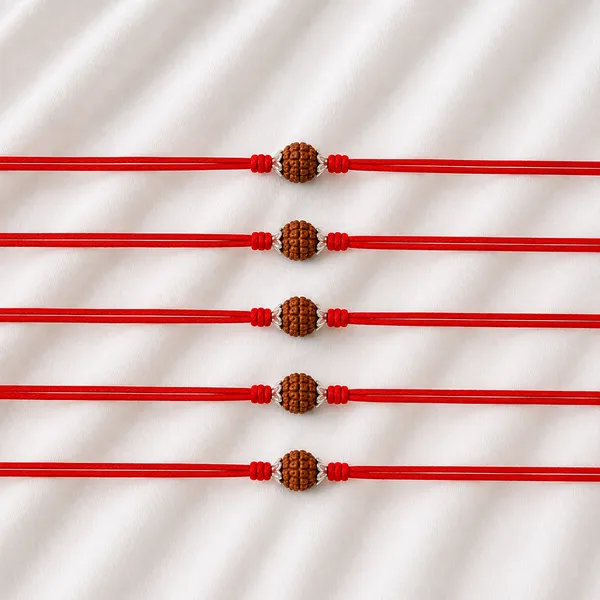 5_Pcs_92.5_Silver_Rudraksha_Charm_Red_Thread_Rakhi_Combo