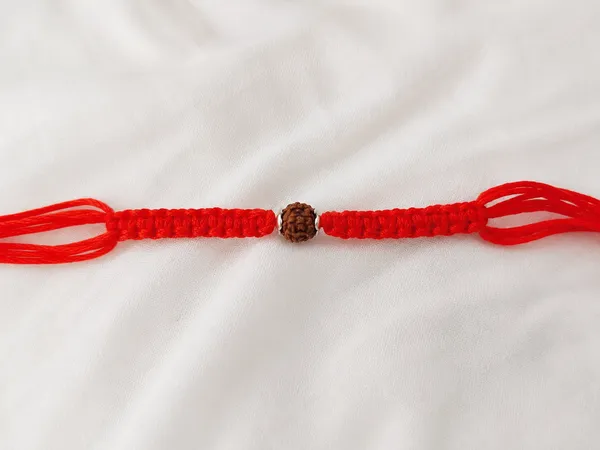 Pack_Of_5_92.5_Silver_Rudraksha_Charm_Braided_Red_Thread_Rakhi