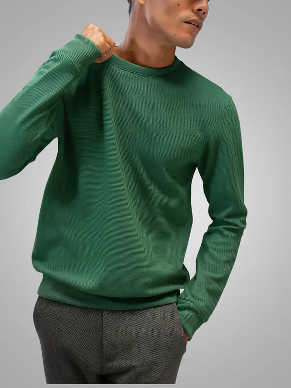 Green_Solid_Fleece_Full_Sleeve_Round_Neck_Sweatshirt_For_Men