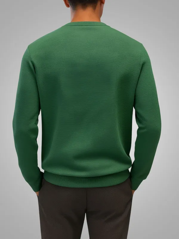 Green_Solid_Fleece_Full_Sleeve_Round_Neck_Sweatshirt_For_Men