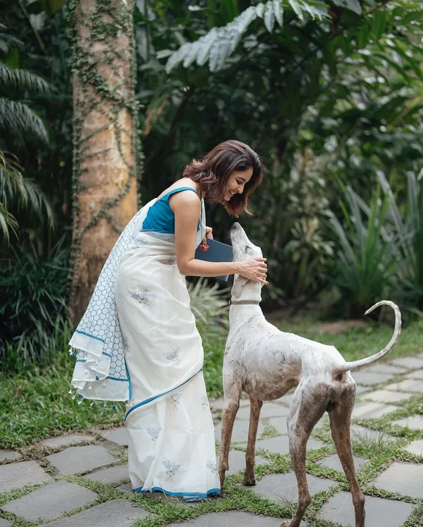 White_Luxury_Linen_With_Handcrafted_Jalar_Border_&_Blouse_With_Saree_For_Women