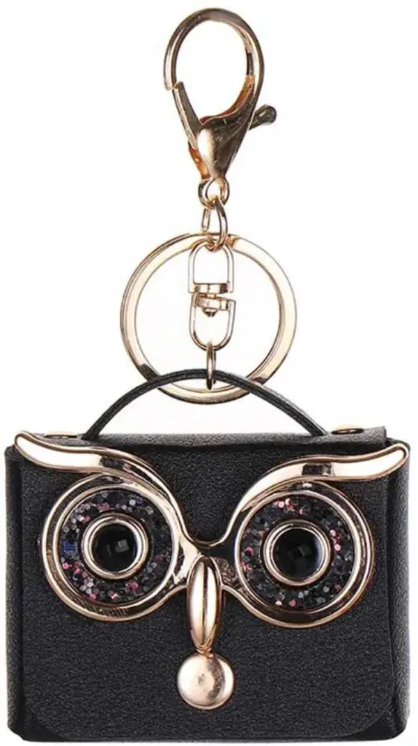 Mini_Coin_Purse_Keychain_Cute_Owl_Design_Wallet_&_Bag_Charm_for_Girls_&_Women_Key_Ring,_Earphone_Storage_Case,_Lipstick_&_Holder_–_Pack_of_1