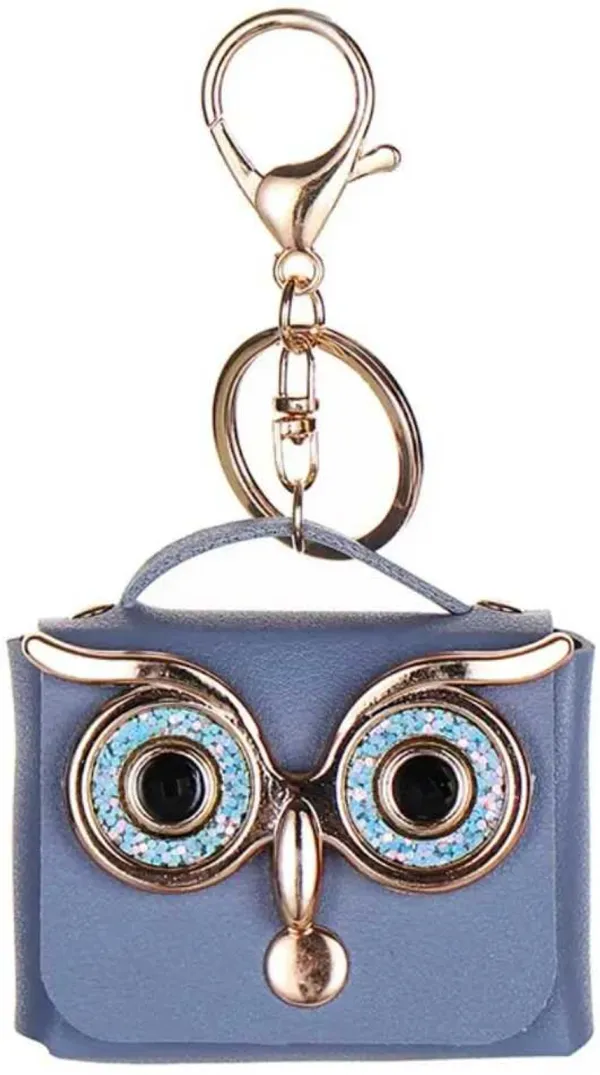 Mini_Coin_Purse_Keychain_Cute_Owl_Design_Wallet_&_Bag_Charm_for_Girls_&_Women_Key_Ring,_Earphone_Storage_Case,_Lipstick_&_Holder_–_Pack_of_1