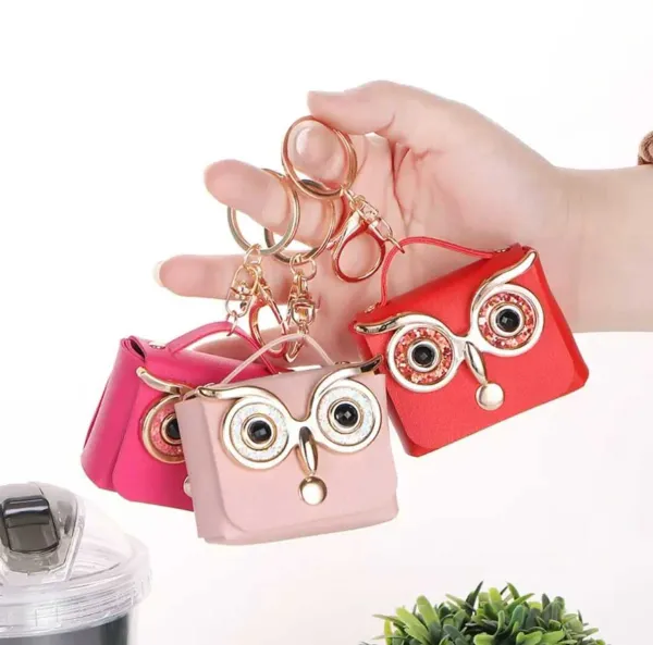 Mini_Coin_Purse_Keychain_Cute_Owl_Design_Wallet_&_Bag_Charm_for_Girls_&_Women_Key_Ring,_Earphone_Storage_Case,_Lipstick_&_Holder_–_Pack_of_1