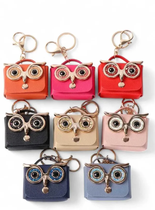 Mini_Coin_Purse_Keychain_Cute_Owl_Design_Wallet_&_Bag_Charm_for_Girls_&_Women_Key_Ring,_Earphone_Storage_Case,_Lipstick_&_Holder_–_Pack_of_1