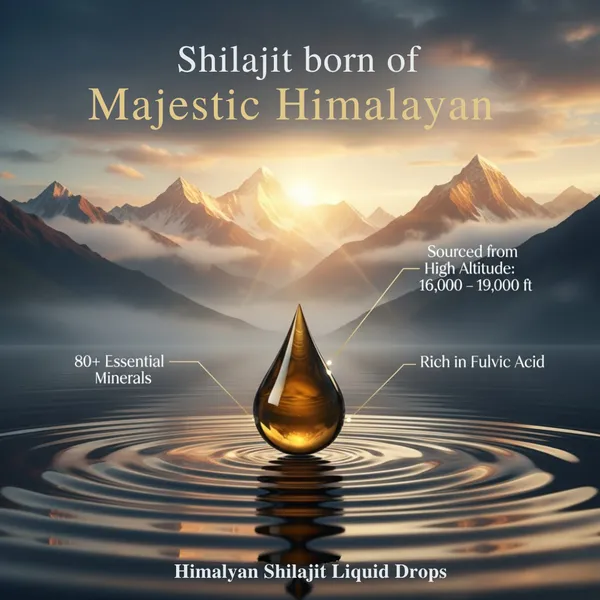 Shilajit_Extract,_Mineral_Rich_Solution_Herbal_Liquid_Supplement_For_Adults_With_Energy_And_Stamina_Support
