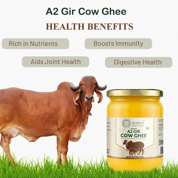 Premium_A_2_Gir_Cow_Ghee_Traditional_Bilona_Method_Pure_Ghee_Mason_Jar_500_Ml