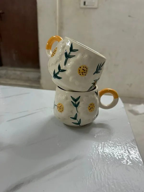 Multicolor_Premium_Surajmukhi_The_Sunflower_Mug_Set_Of_2