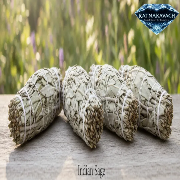 Grey_&_Green_Dried_Indian_Leaves_Bundle_Sage_For_Unisex