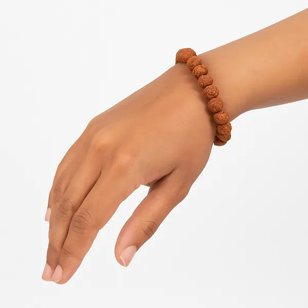 Brown_Natural_5_Mukhi_A_Beads_With_Elastic_Thread_Bracelet_For_Unisex