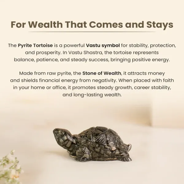 Vastu_Pyrite_Tortoise_(Kachhua)