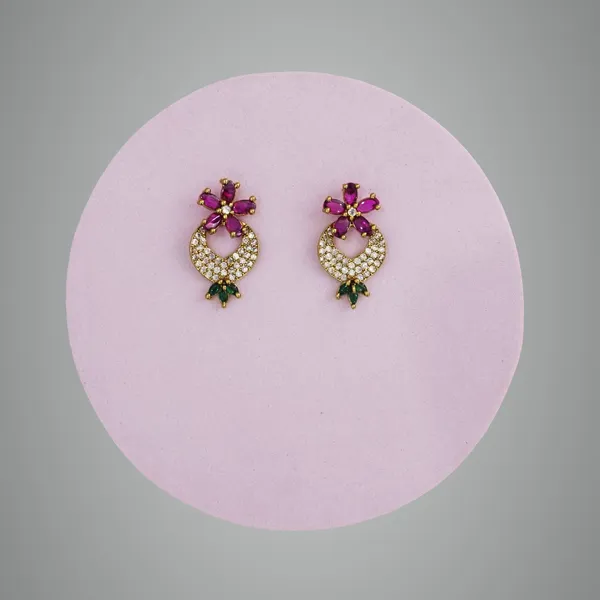 Multicolor_Premium_Metal_Ear_Ring_For_Women