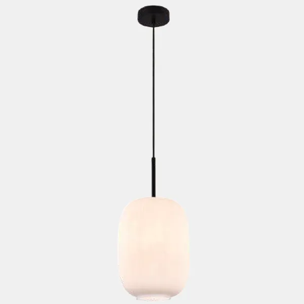 Black_White_Glass_Hanging_Light_Default_Title