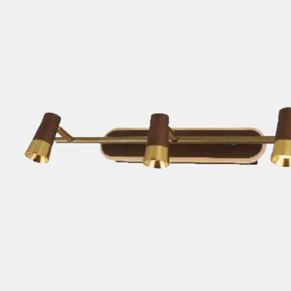 Gold_Brownown_Picture_Light_Default_Title