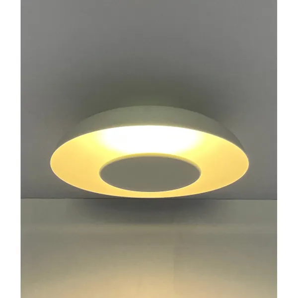 Customized_Metal_Ceiling_Light_Default_Title