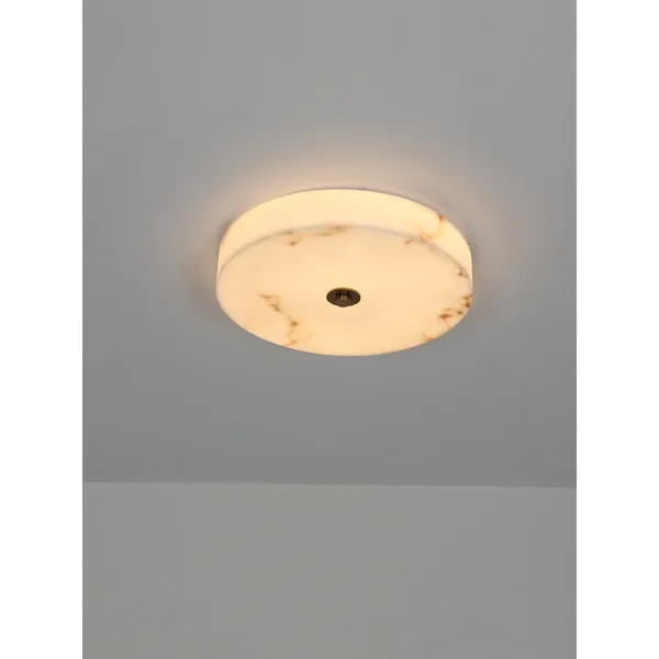 Antique_Brownass_Metal_Resin_Led_Ceiling_Light_Default_Title