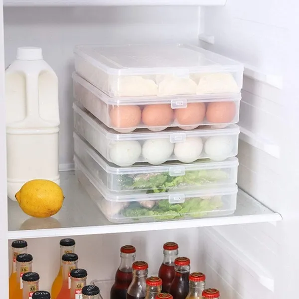 Transparent_Plastic_Egg_Storage_Box_With_Lid_|_24_Egg_Grids