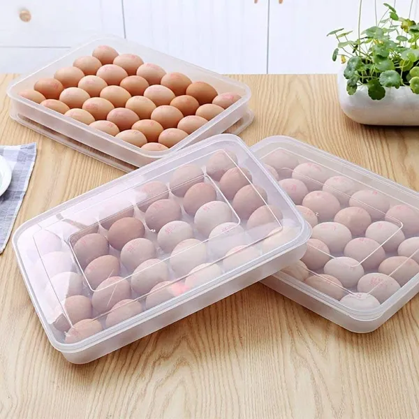 Transparent_Plastic_Egg_Storage_Box_With_Lid_|_24_Egg_Grids