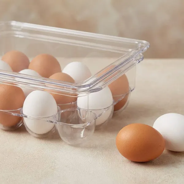 Transparent_Acrylic_Egg_Storage_Box_With_Lid_|_12_Egg_Grids