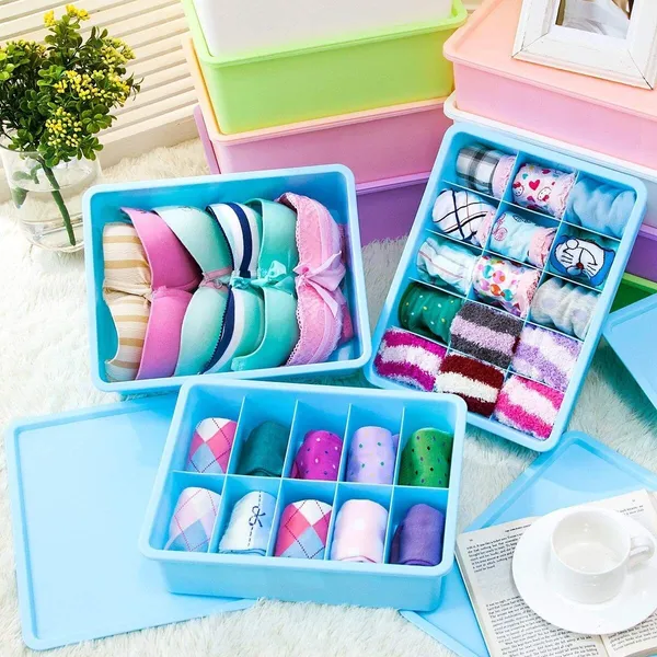 Sky_Blue_And_Beige_Plastic_Divider_Organizer_Box_With_Lid_|_Pack_Of_2