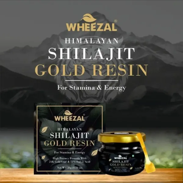 Wheezal_Himalayan_Shilajit_Gold_Resin_20_gm