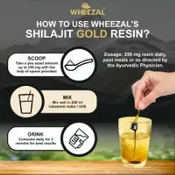 Wheezal_Himalayan_Shilajit_Gold_Resin_20_gm