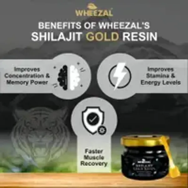 Wheezal_Himalayan_Shilajit_Gold_Resin_20_gm