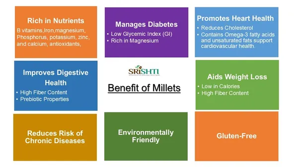 100%_Certified_Organic_Mix_Miilets_Classic_Baked_Chips_(Crackers)_50Gm_|_Healthy,_Tasty,Gluten-Free,Vegan,_Nutrient-Rich_Delight_For_Wholesome_Meals_Pack_of_3