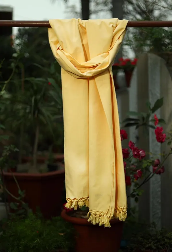 Cotton_Bhagalpuri_Chadar