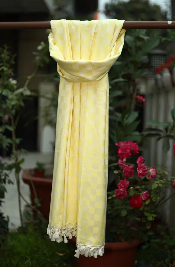 Cotton_Bhagalpuri_Chadar